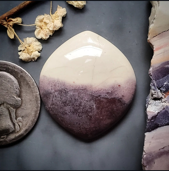 Sci-Fi Porcelain Jasper Marquise Cabochon