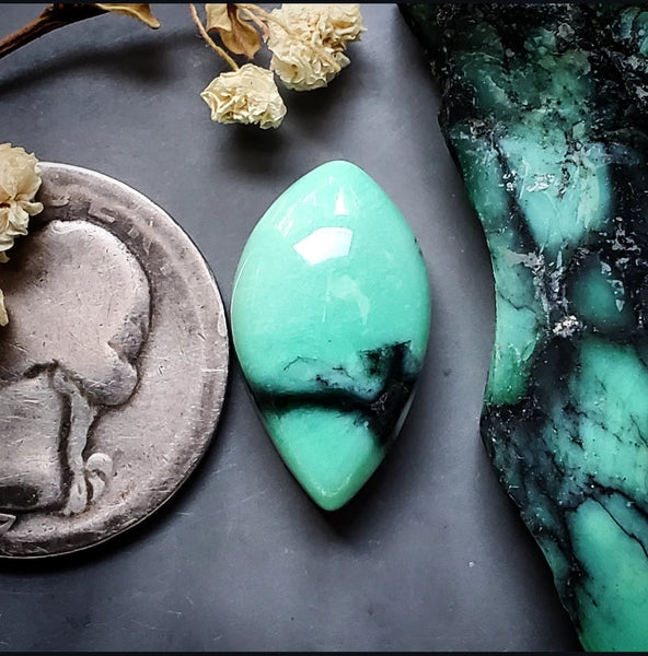 Desert Oasis Drop Cabochon