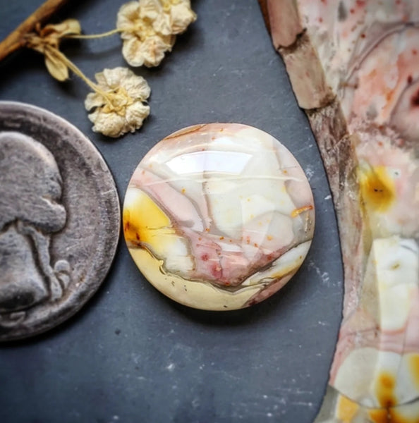 Willow Creek Jasper Round Cabochon