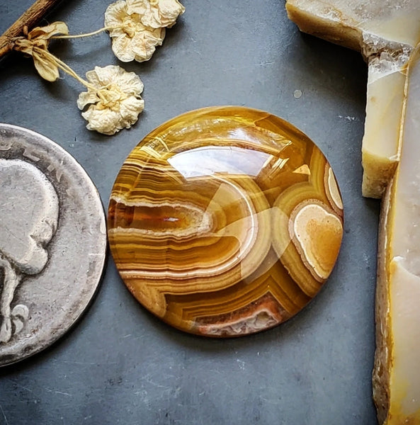 Agua Nueva Agate Round Cabochon