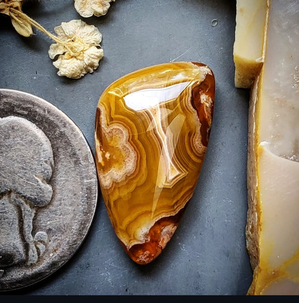 Agua Nueva Agate Freeform Cabochon
