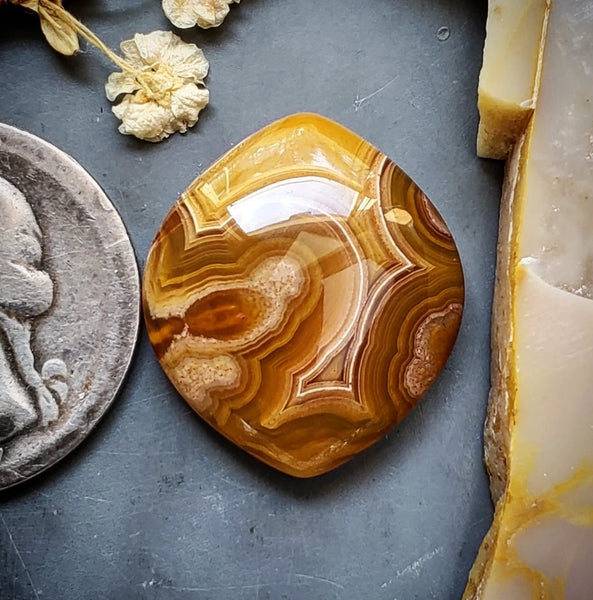 Agua Nueva Agate Freeform Cabochon