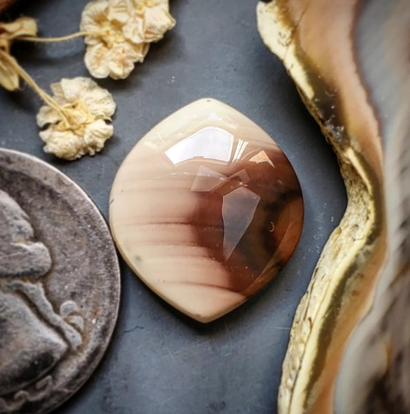 Imperial Jasper Freeform Cabochon