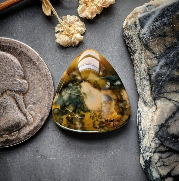 Morrisonite Jasper Trillion Cabochon