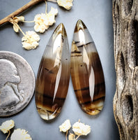 Montana Agate Drop Pair Cabochon