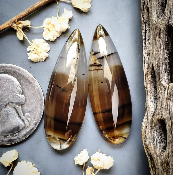 Montana Agate Drop Pair Cabochon
