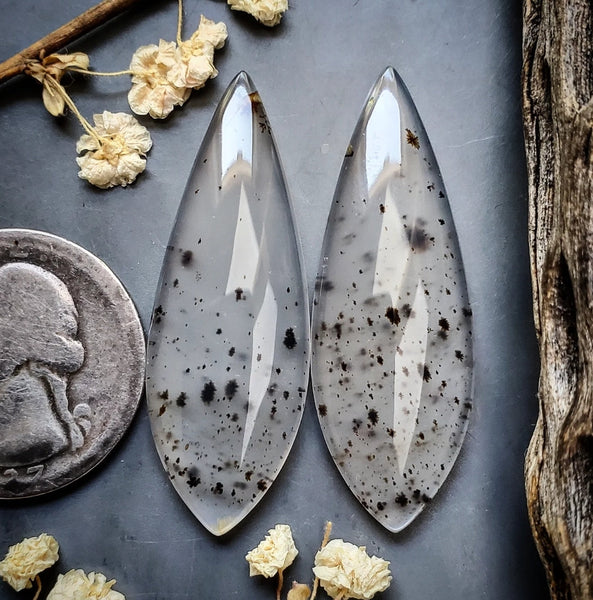 Montana Agate Drop Pair Cabochon