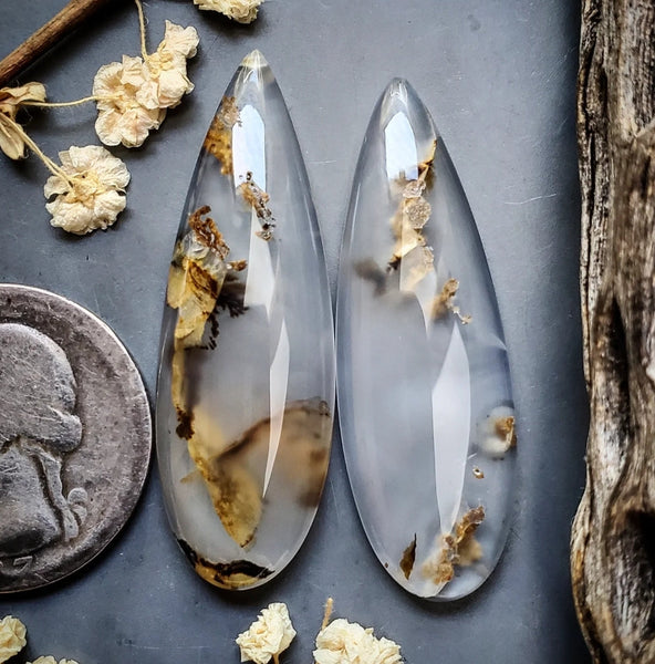 Montana Agate Drop Pair Cabochon