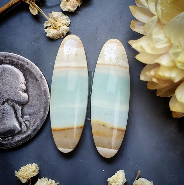 Opalized Wood Oval Earring Pair Cabochon