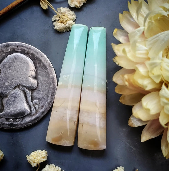 Opalized Wood Bar Earring Pair Cabochon