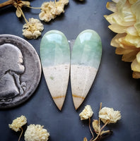 Opalized Wood Drop Earring Pair Cabochon