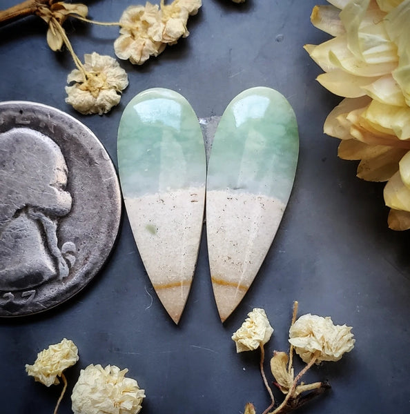 Opalized Wood Drop Earring Pair Cabochon