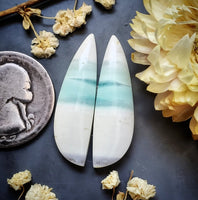 Opalized Wood  Drop Earring Pair Cabochon