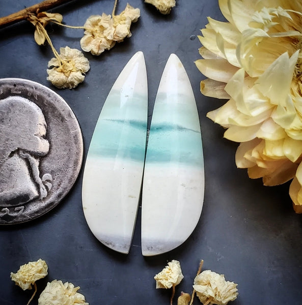 Opalized Wood  Drop Earring Pair Cabochon