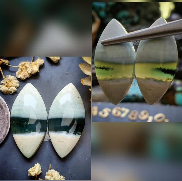 Opalized Wood Marquise Earring Pair Cabochon