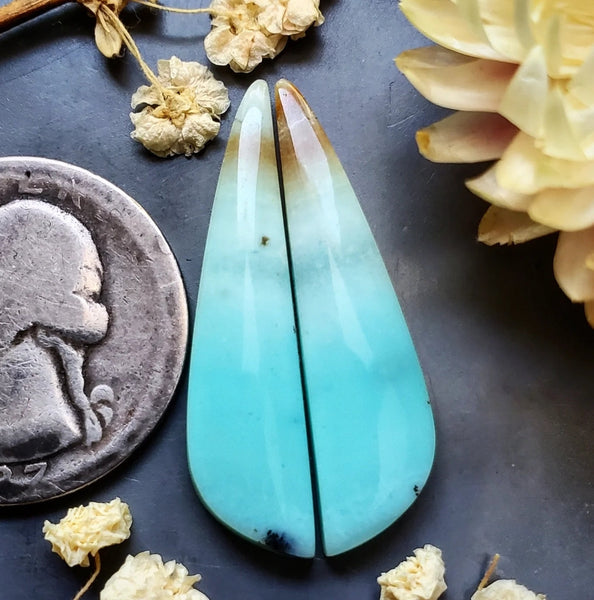 Opalized Wood Freeform Earring Pair Cabochon