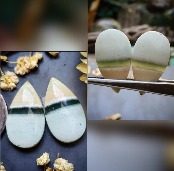 Opalized Wood Drop Earring Pair Cabochon