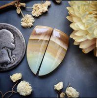 Opalized Wood Freeform Earring Pair Cabochon