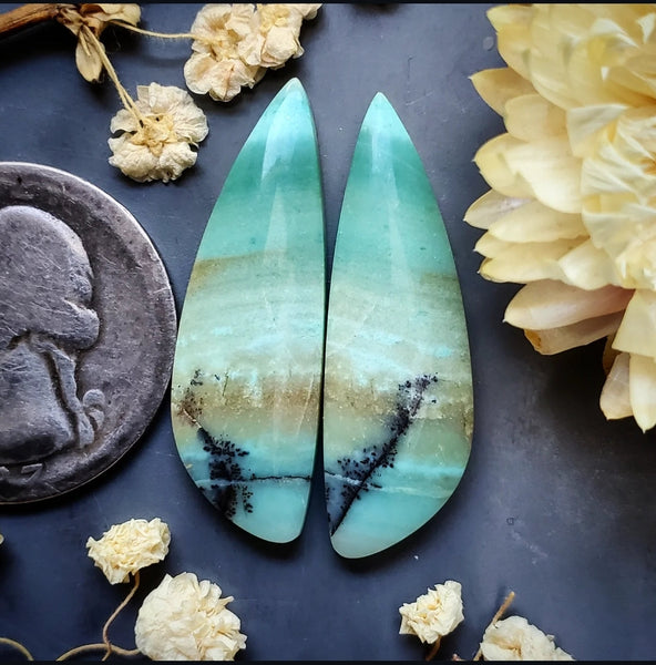 Opalized Wood Freeform Earring Pair Cabochon