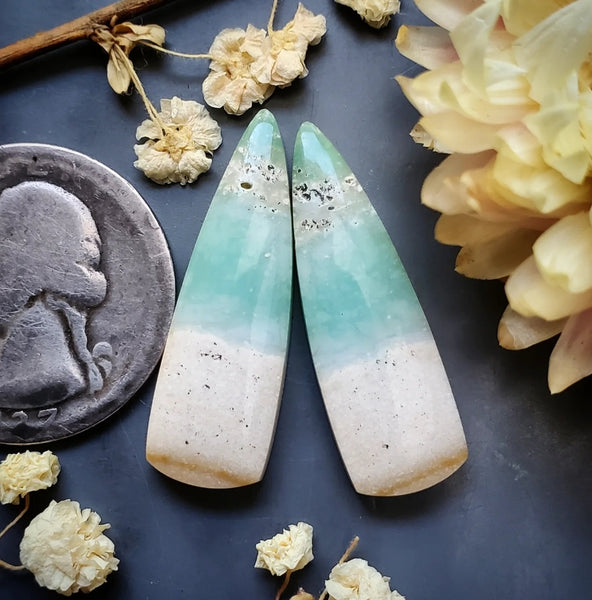 Opalized Wood Drop Earring Pair Cabochon