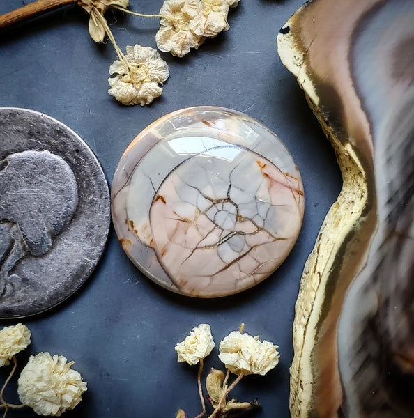 Imperial Jasper Round Cabochon
