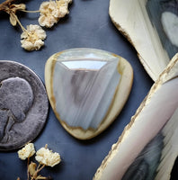 Imperial Jasper Trillion Cabochon