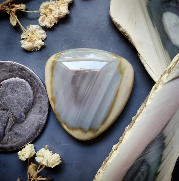 Imperial Jasper Trillion Cabochon
