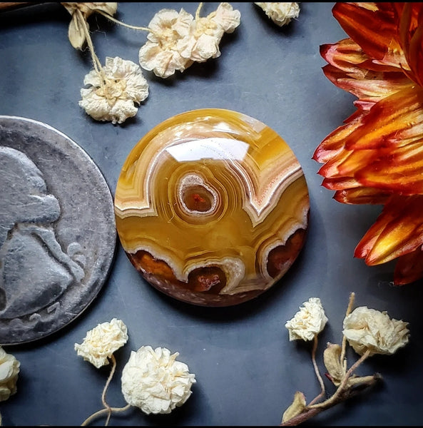Agua Nueva Agate Round Cabochon