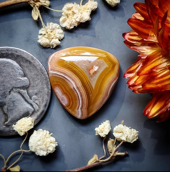 Agua Nueva Agate Trillion Cabochon