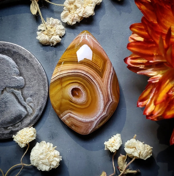 Agua Nueva Agate Drop Cabochon