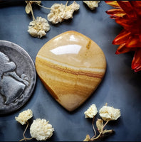 Red Canyon Picture Jasper Drop Cabochon