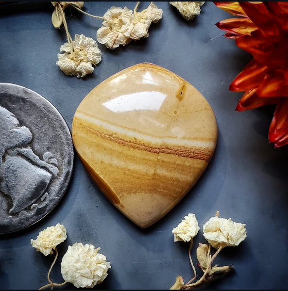 Red Canyon Picture Jasper Drop Cabochon