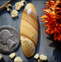 Red Canyon Picture Jasper Oval Cabochon