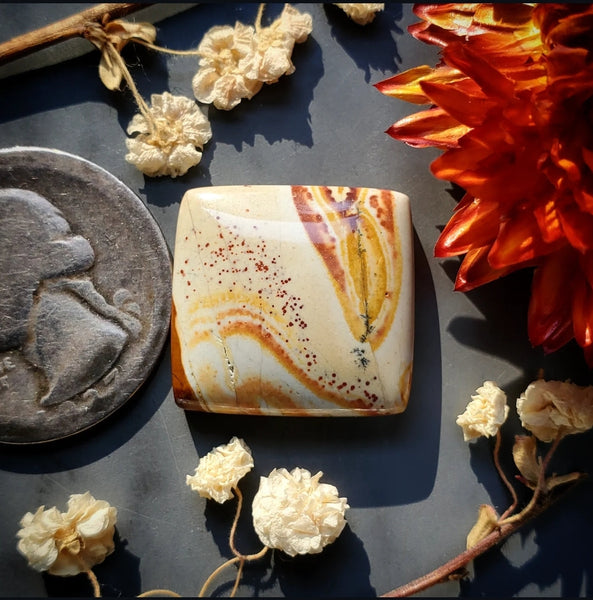 Red Canyon Picture Jasper Cushion Cut Cabochon