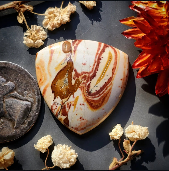 Red Canyon Picture Jasper Trillion Cabochon