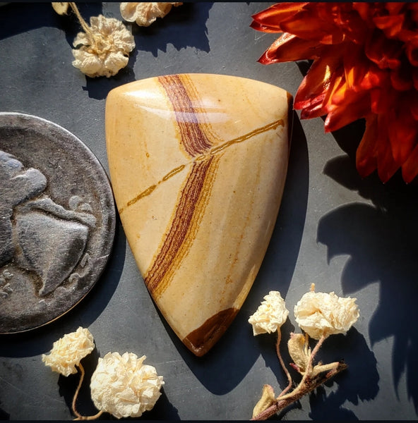 Red Canyon Picture Jasper Drop Cabochon