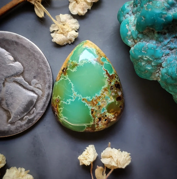 Evans Turquoise Drop Cabochon