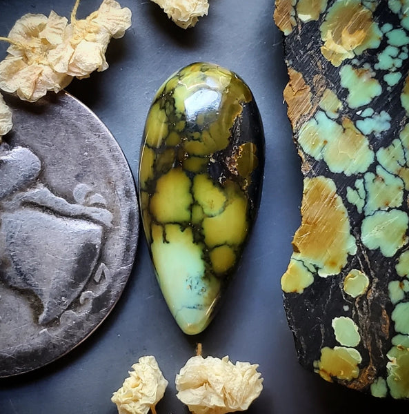 Golden Dragon Turquoise Drop Cabochon