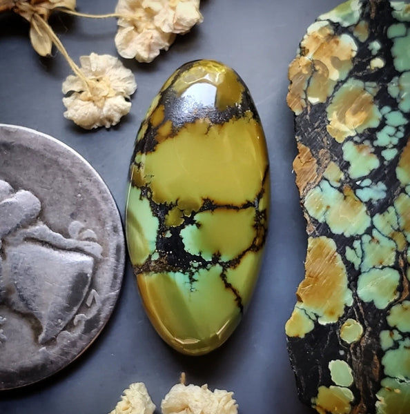 Golden Dragon Turquoise Oval Cabochon