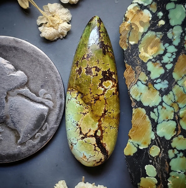 Golden Dragon Turquoise Drop Cabochon