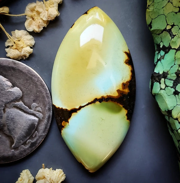 Golden Dragon Turquoise Large Marquise Cabochon