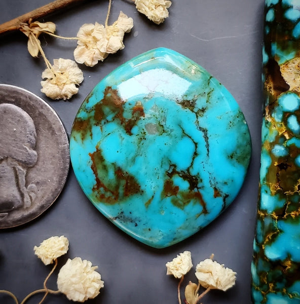 Patagonia Turquoise Large Marquise Cabochon