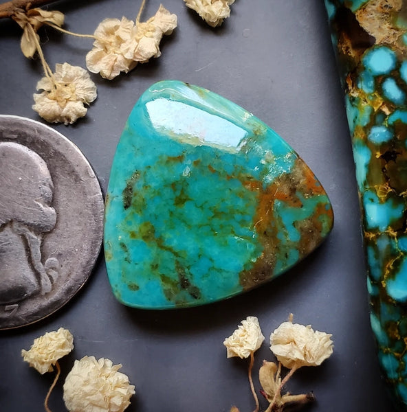 Patagonia Turquoise Trillion Cabochon