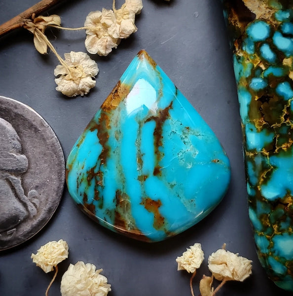 Patagonia Turquoise Drop Cabochon