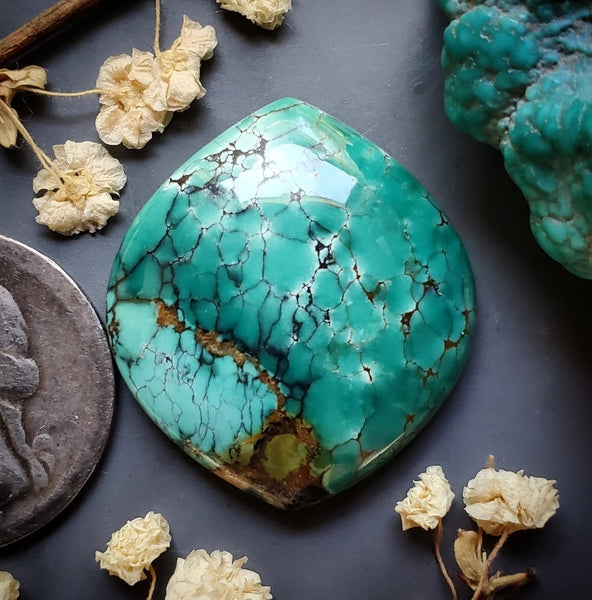 Natural Polychrome Hubei Turquoise Large Marquise Cabochon
