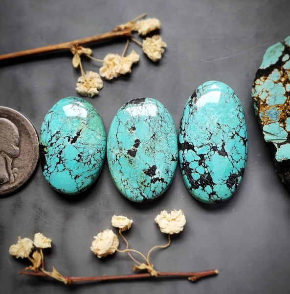 Natural Qingu Turquoise Oval Set Cabochon