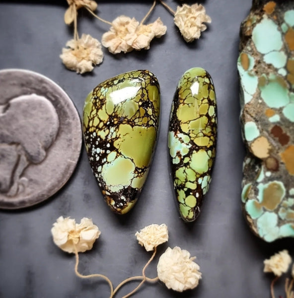 Natural Qingu Turquoise Set Cabochon