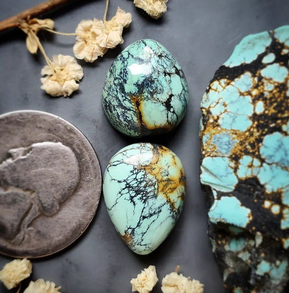Natural Qingu Turquoise Drop Set Cabochon