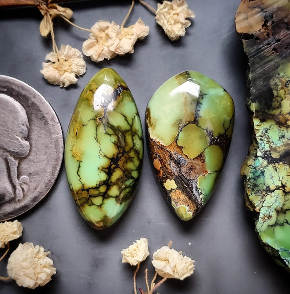 Natural Qingu Turquoise Set Cabochon