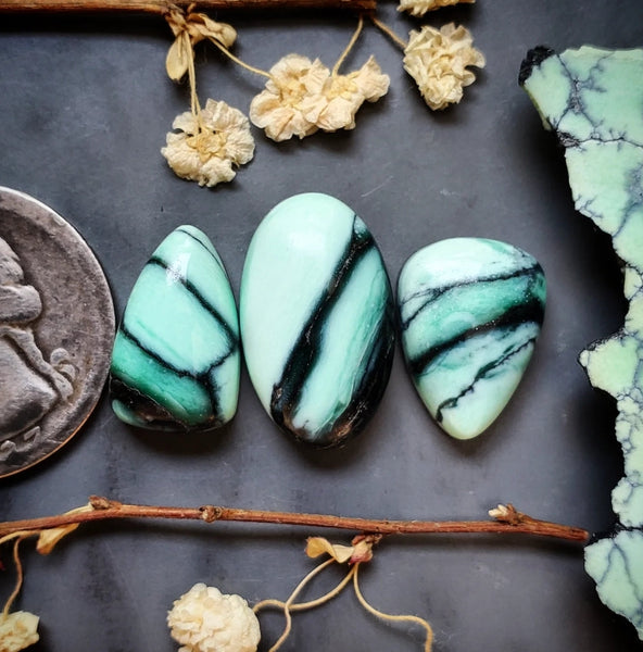 Desert Oasis Variscite Set Cabochon